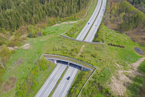 Aerial view over wildlife crossing