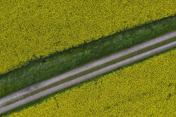 Aerial view over farmland with dirt road