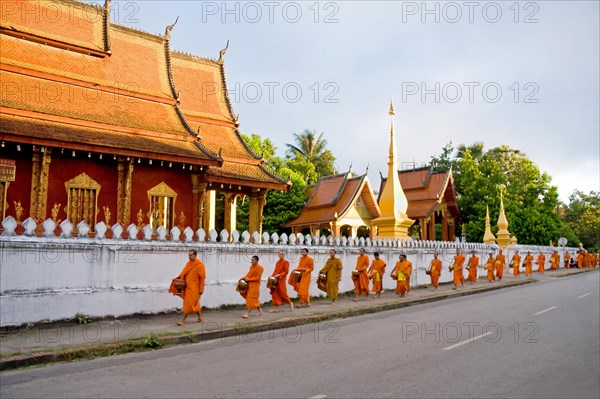 Buddhist monks in their morning ritual