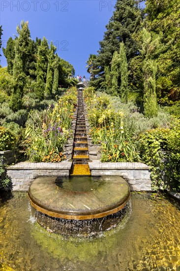 Flower Island Mainau with flowers and exotic plants