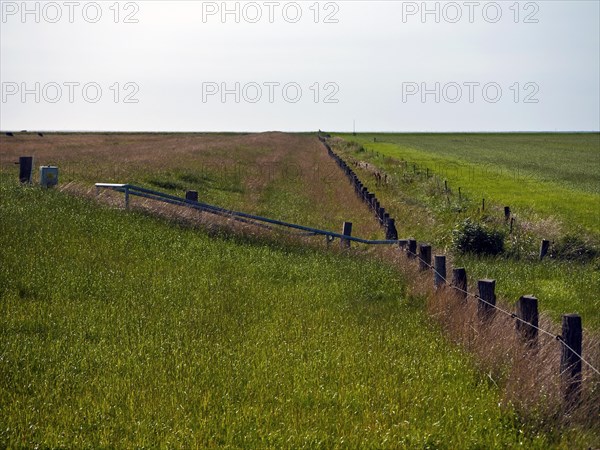 Land reclamation near Dorum