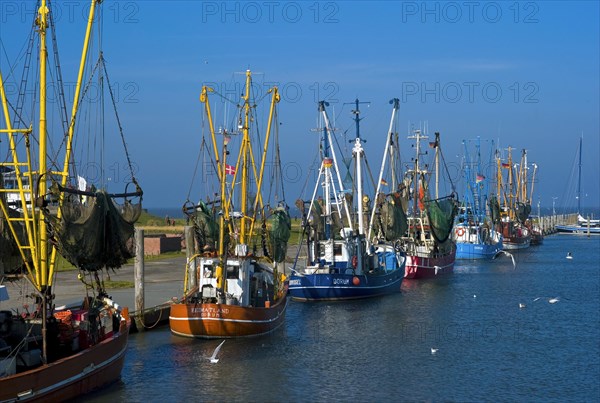 Crab cutter in the harbour of Dorum Neufeld in the district of Cuxhaven