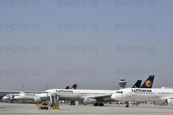 Parking Lufthansa aircraft on the east apron in front of Terminal 2