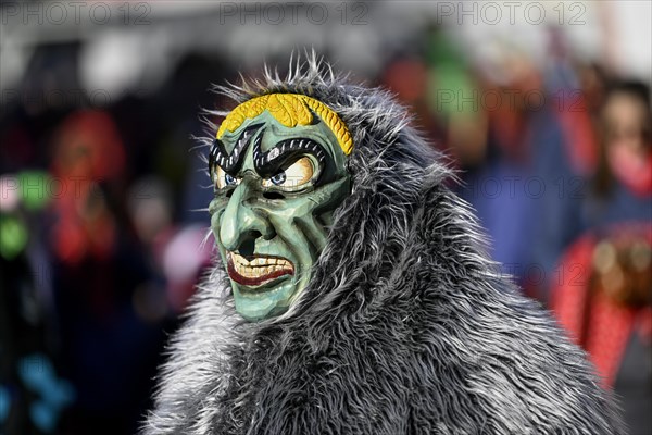 Narrenzunft Stangenbachgeister from Oberkirch-Zusenhofen at the Great Carnival Parade