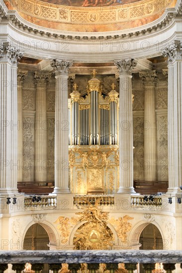 Organ