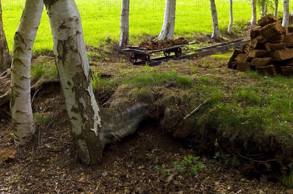 Peat cutting in Worpswede