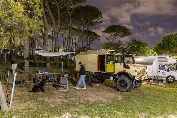 Camping under pine trees