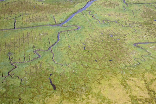 Aerial view over salt marsh of the Wadden Sea National Park