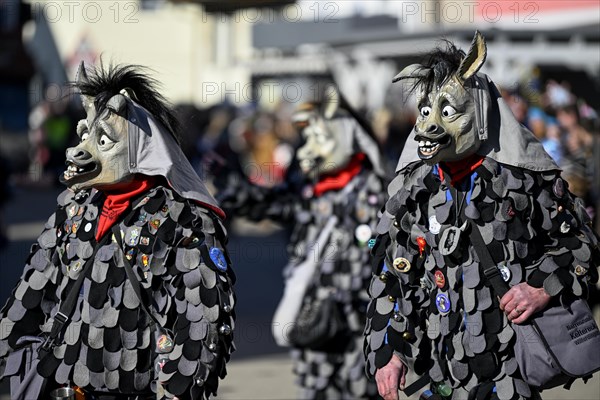 Fools Guild Keltereck-Esel from Wilferdingen at the Great Carnival Parade