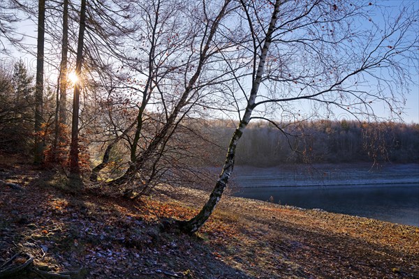 Sorpesee in autumn