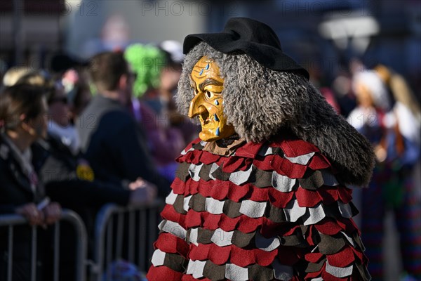 Schierbachnarren Fools Guild from Schabenhausen at the Great Carnival Parade