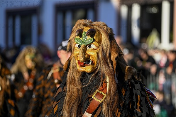 Fools Guild Meerettichdaemone from Urloffen at the Great Carnival Parade