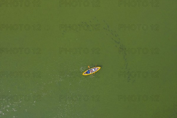 Aerial view over sit-on-top kayak paddling behind shoal of large fish in lake Ratzeburger