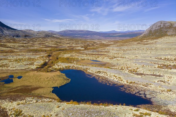 Aerial view over pond and the Norwegian tundra covered in reindeer lichen