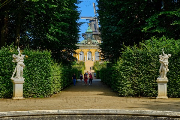 Avenue of trees with visual axis to the north from the main avenue to the New Chambers with the windmill in the background