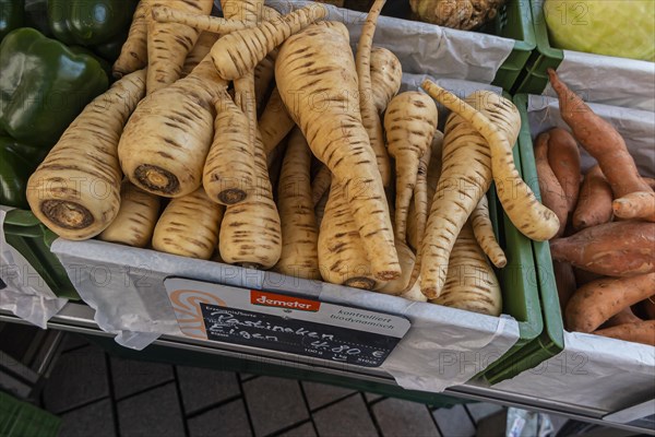 Root vegetable parsnip