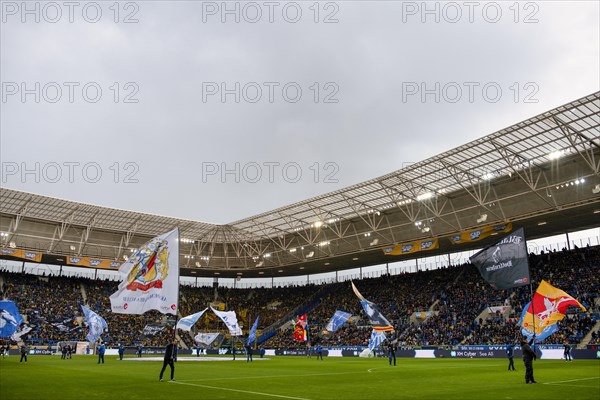 Flag wavers in front of the start of a Bundesliga match