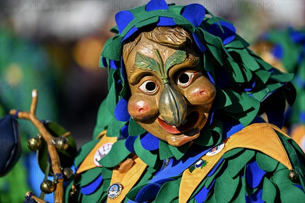 Fools Guild Pflaumendrucker from Schutterwald at the Great Carnival Parade