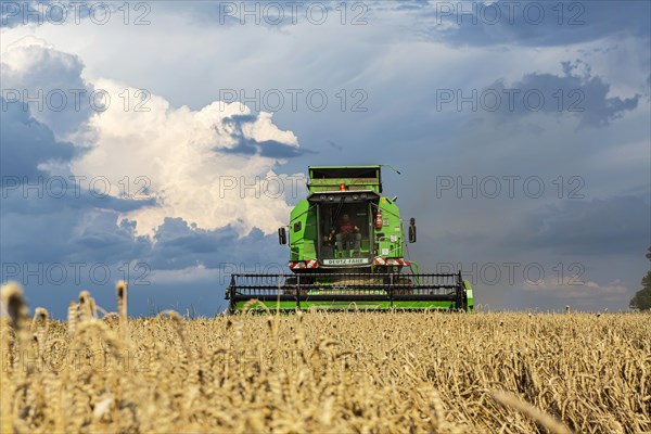 Grain harvest under thunderclouds