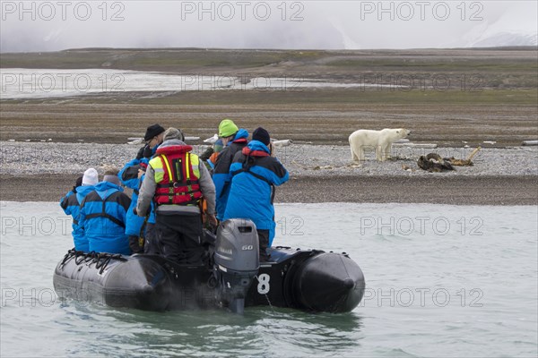 Eco-tourists in Zodiac boat watching scavenging polar bear