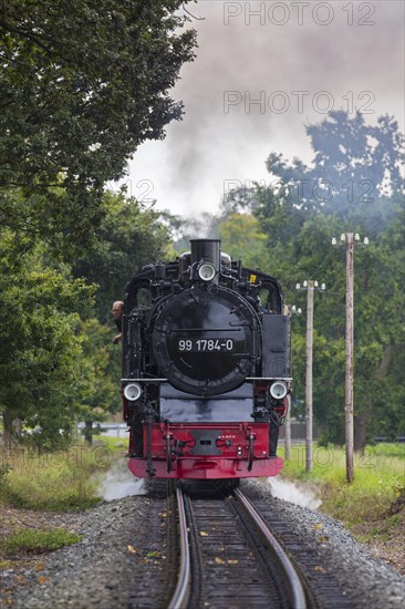 Rasender Roland steam locomotive 99 1784 on the Ruegen narrow-gauge railway