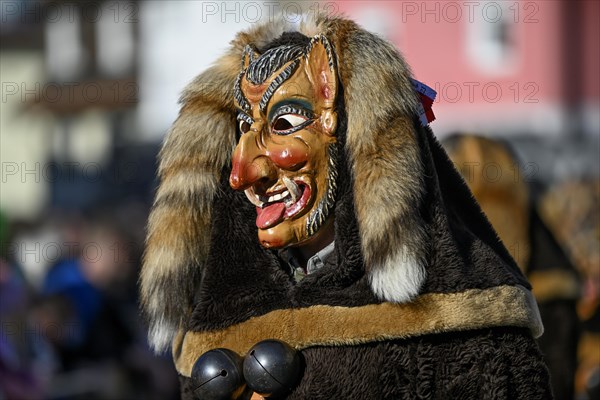 Fools Guild from Horb am Neckar at the Great Carnival Parade