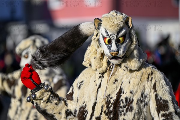 Miau guild from Freiburg at the big carnival procession