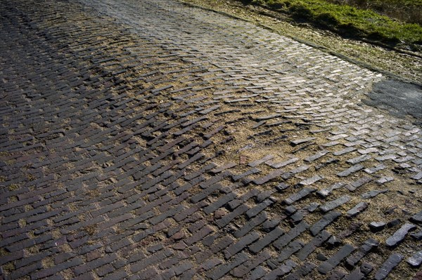 Old road in the Teufelsmoor near Worpswede