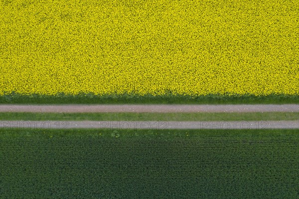 Aerial view over farmland with dirt road