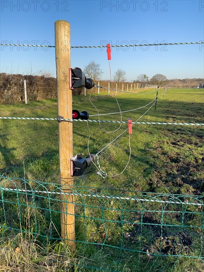 Newly installed modern electric fence in wolf area Schermbeck