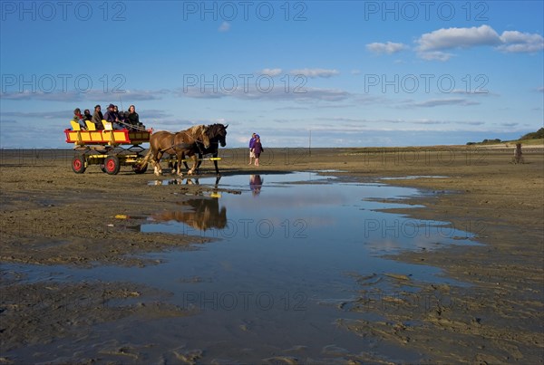 A tidal flat wagon returning from Neuwerk