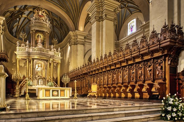 Basilica Metropolitan Cathedral of Lima