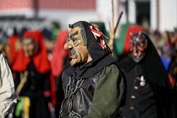 Fools Guild from Horb am Neckar at the Great Carnival Parade