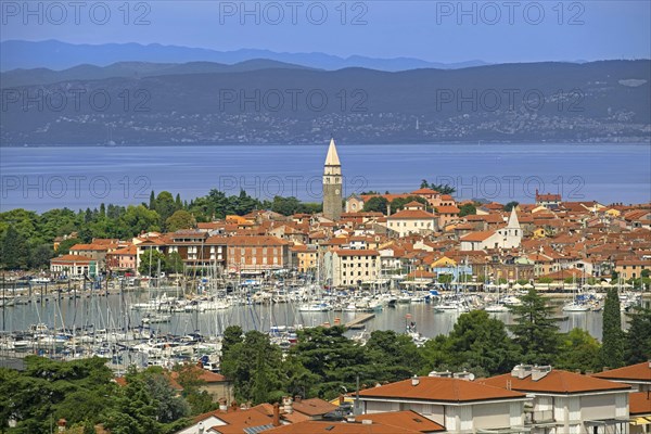 Izola