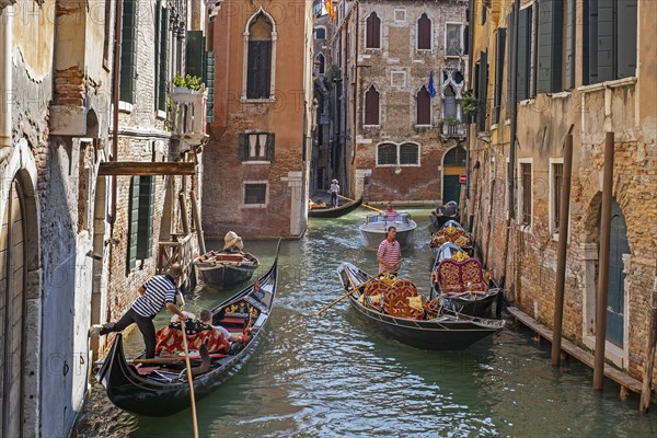 Gondoliers in traditional gondolas taking tourists on sightseeing tours along narrow canals in Venice