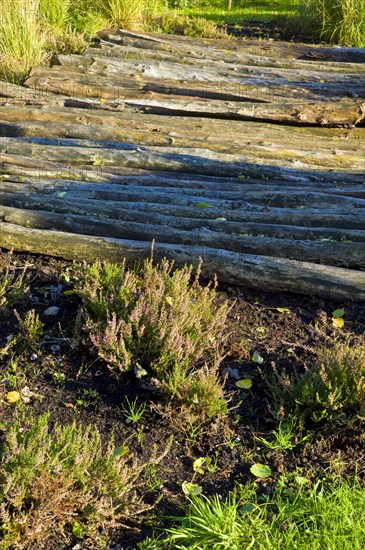 Reconstructed plank path in the Wiesmoor Peat and Settlement Museum