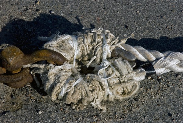 Rope of a crab cutter in the harbour of Dorum Neufeld in the district of Cuxhaven