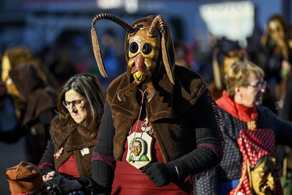 Fools Guild Umbeisen and Witches from Ohlsbach at the Great Carnival Parade