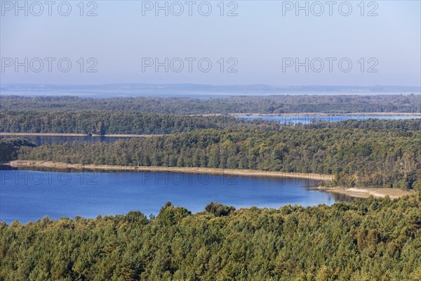 View over Priesterbaeker See