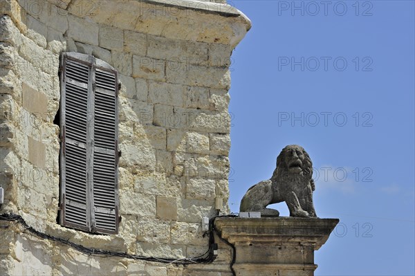 Sculpture of lion and closed window shutters at Auch