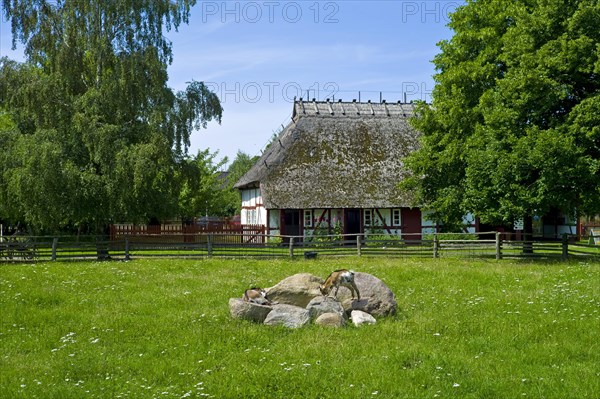 In the Klockenhagen Open-Air Museum