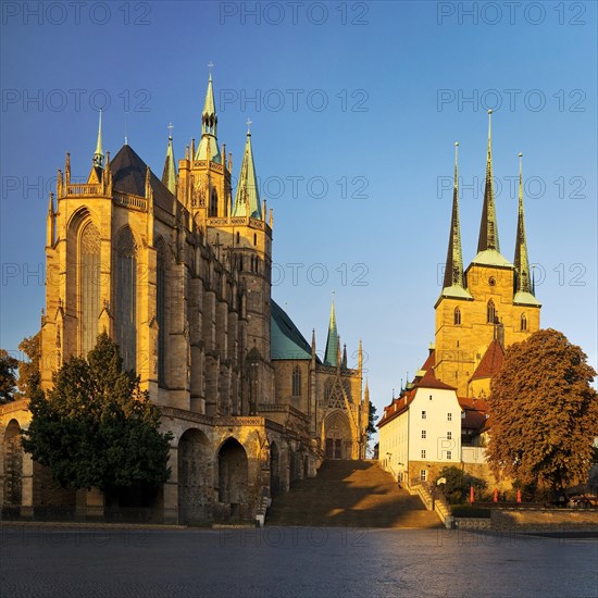 Erfurt Cathedral and Severi Church in early morning light