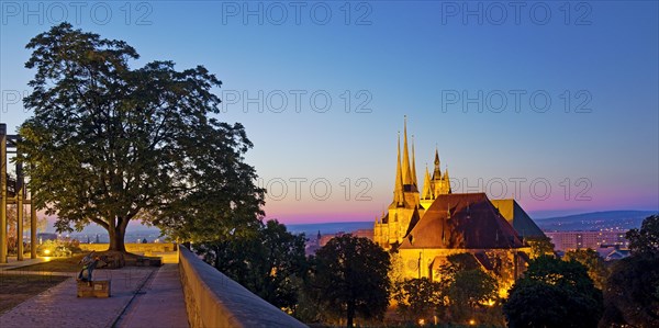 City view with Severi Church and Erfurt Cathedral at dawn