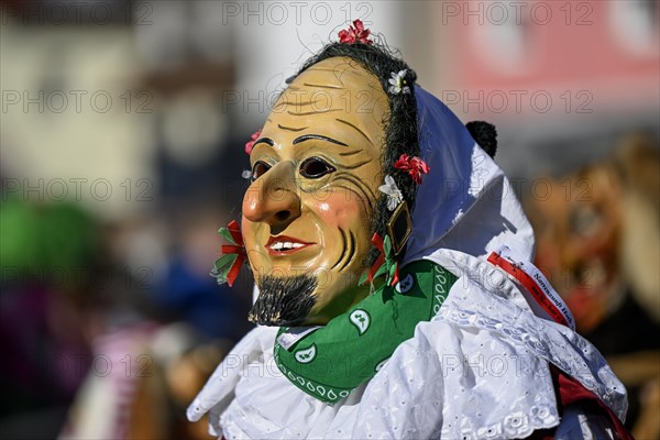 Fools Guild from Horb am Neckar at the Great Carnival Parade