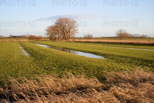 Dike foreland in Neuenkirchen