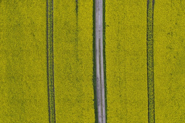 Aerial view over farmland with dirt road