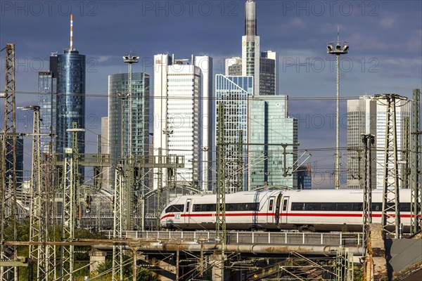 Skyline with skyscrapers