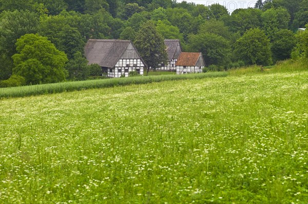 Landscape with farmhouses