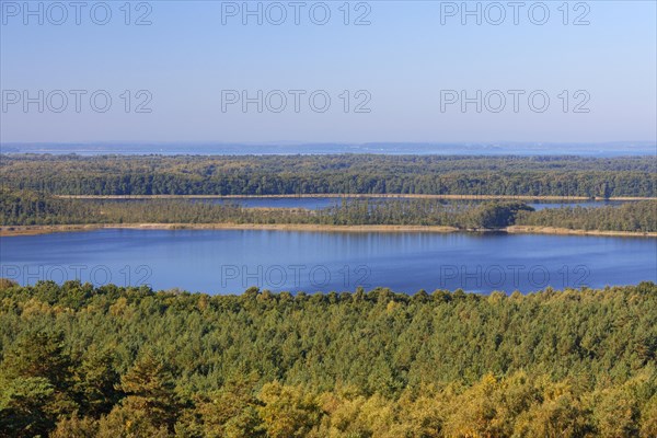 View over Priesterbaeker See