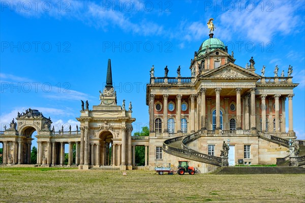 University of Potsdam